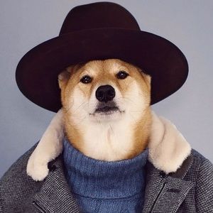 Meet your Posher, Conrad